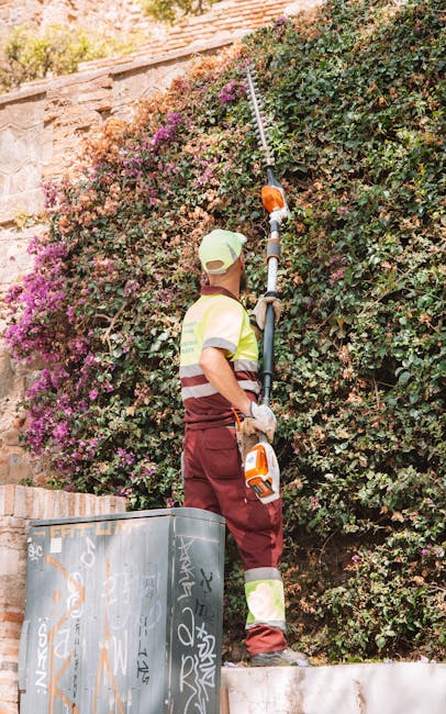 A gardener wearing a high-visibility jacket, maroon trousers, and a beige cap is trimming a dense, flowering shrub with a long-reach pruning tool in a garden setting. The shrub has abundant green foliage interspersed with clusters of small, purple blossoms. The gardener stands on a low brick or stone wall, leaning slightly to reach the upper parts of the hedge. To the left of the gardener, there is a large metal bin with a graffiti-covered surface, positioned at the edge of a paved area or pathway. Behind the hedge, a stone or brick wall is partially visible, and the scene is illuminated by natural daylight, suggesting sunny weather. The garden appears well-maintained, with neatly trimmed borders and an organized layout, indicating regular gardening work by Gardeners Marylebone, who specialize in garden maintenance and landscaping services, including hedge trimming and lawn care, aligned with the content of the 'Affordable garden services W1U price guide' page.
